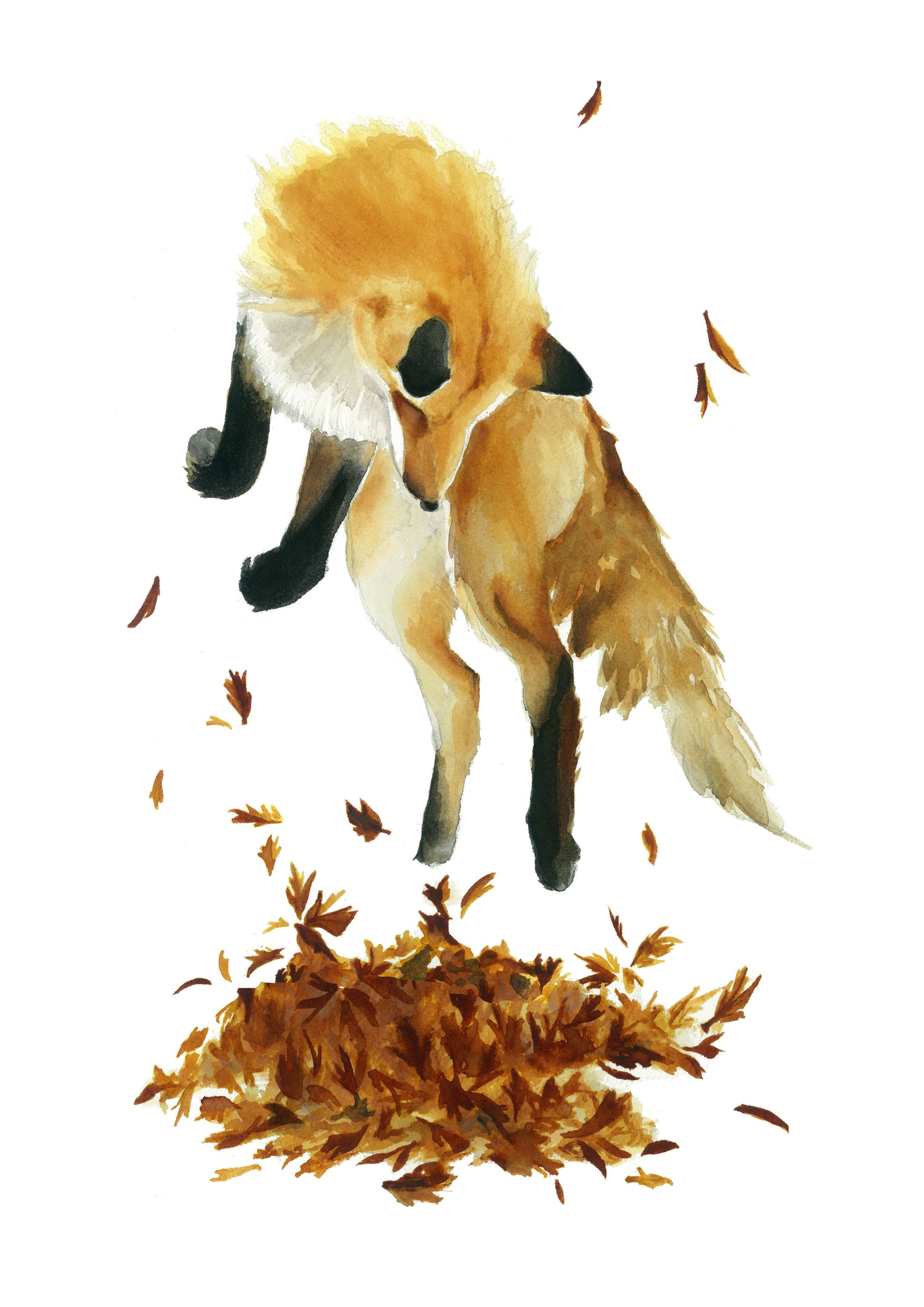 Playful Autumn Fox