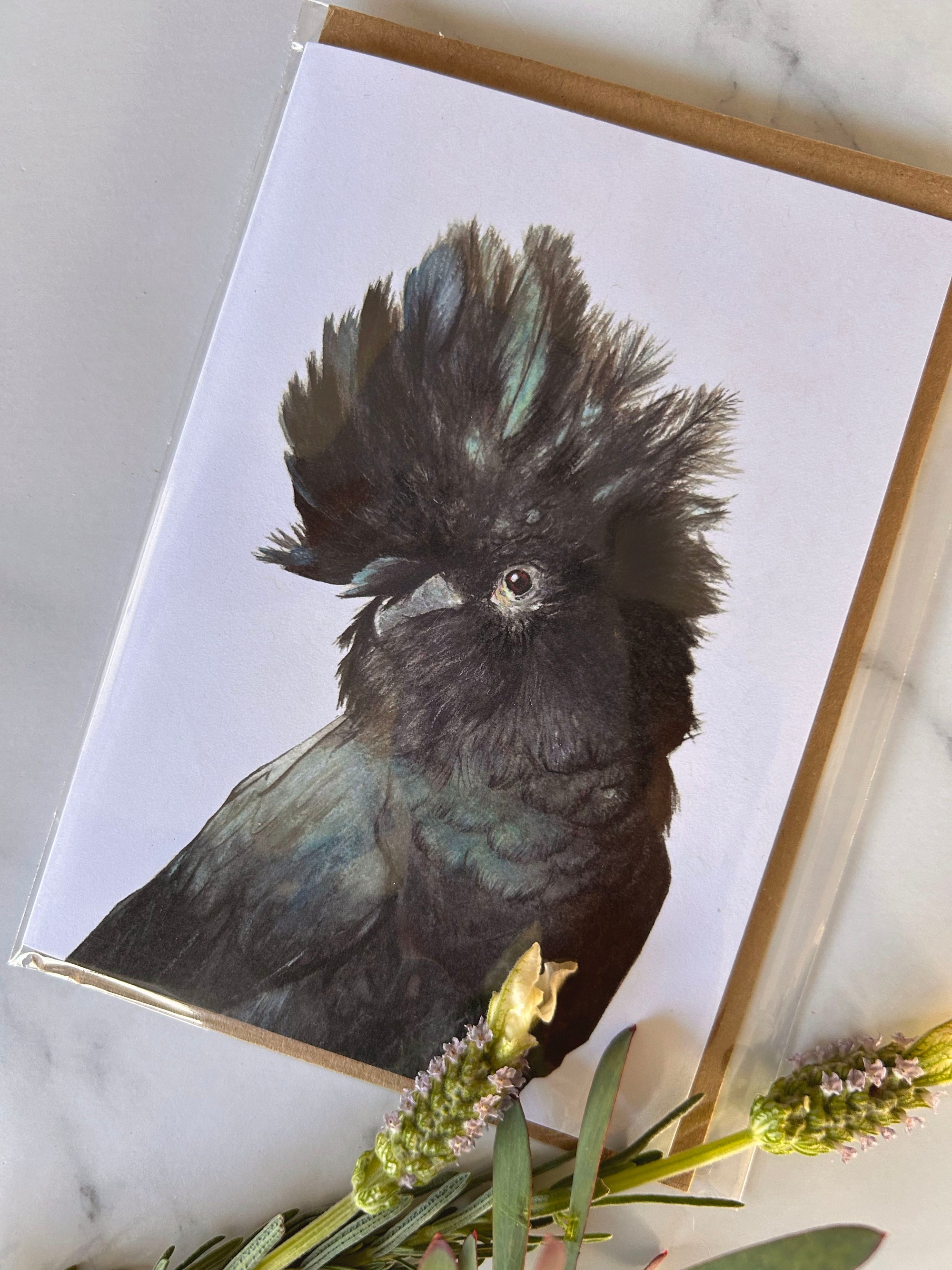 "Billy the Black Cockatoo" Greeting Card