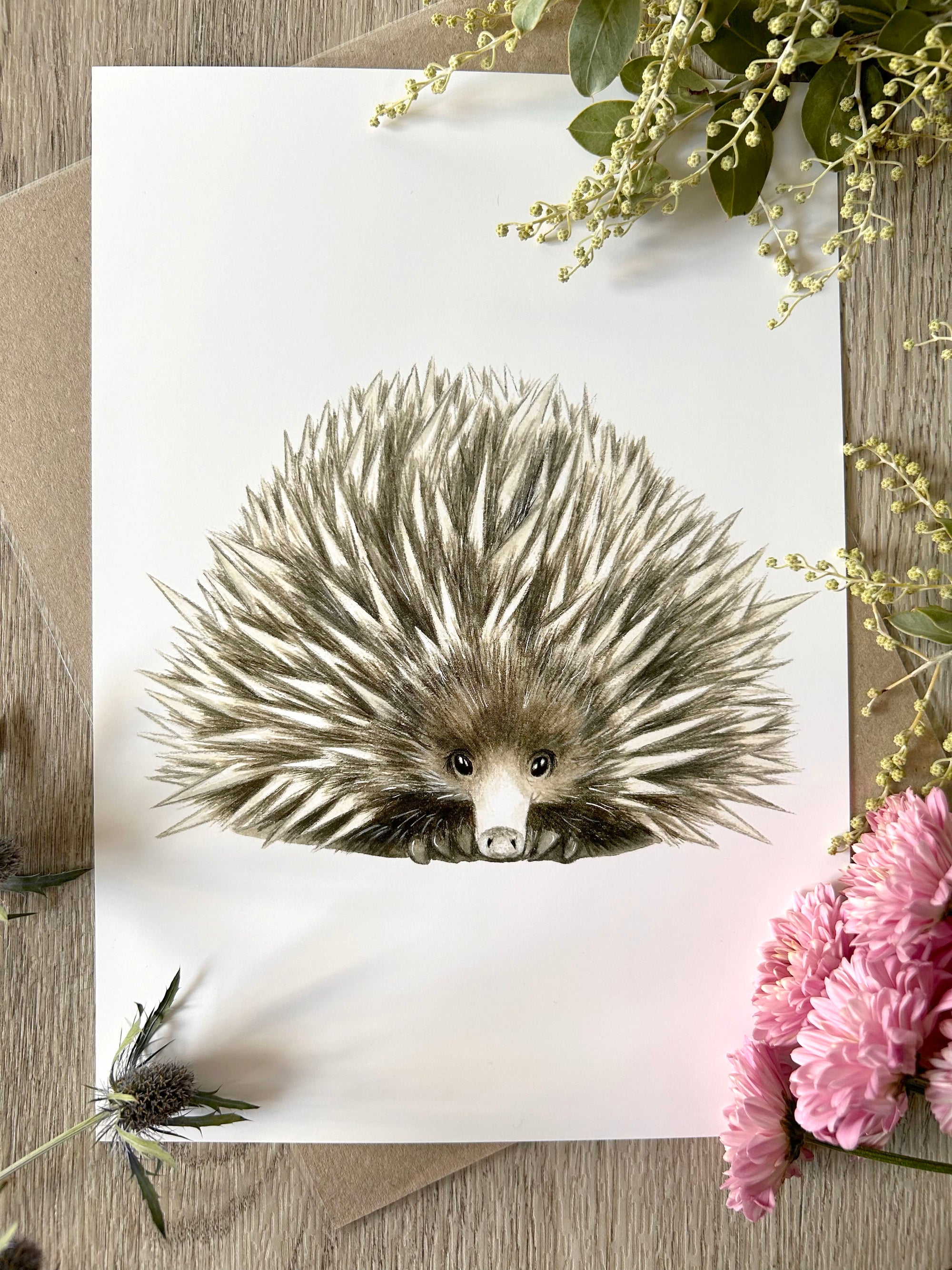 Edgar the Echidna