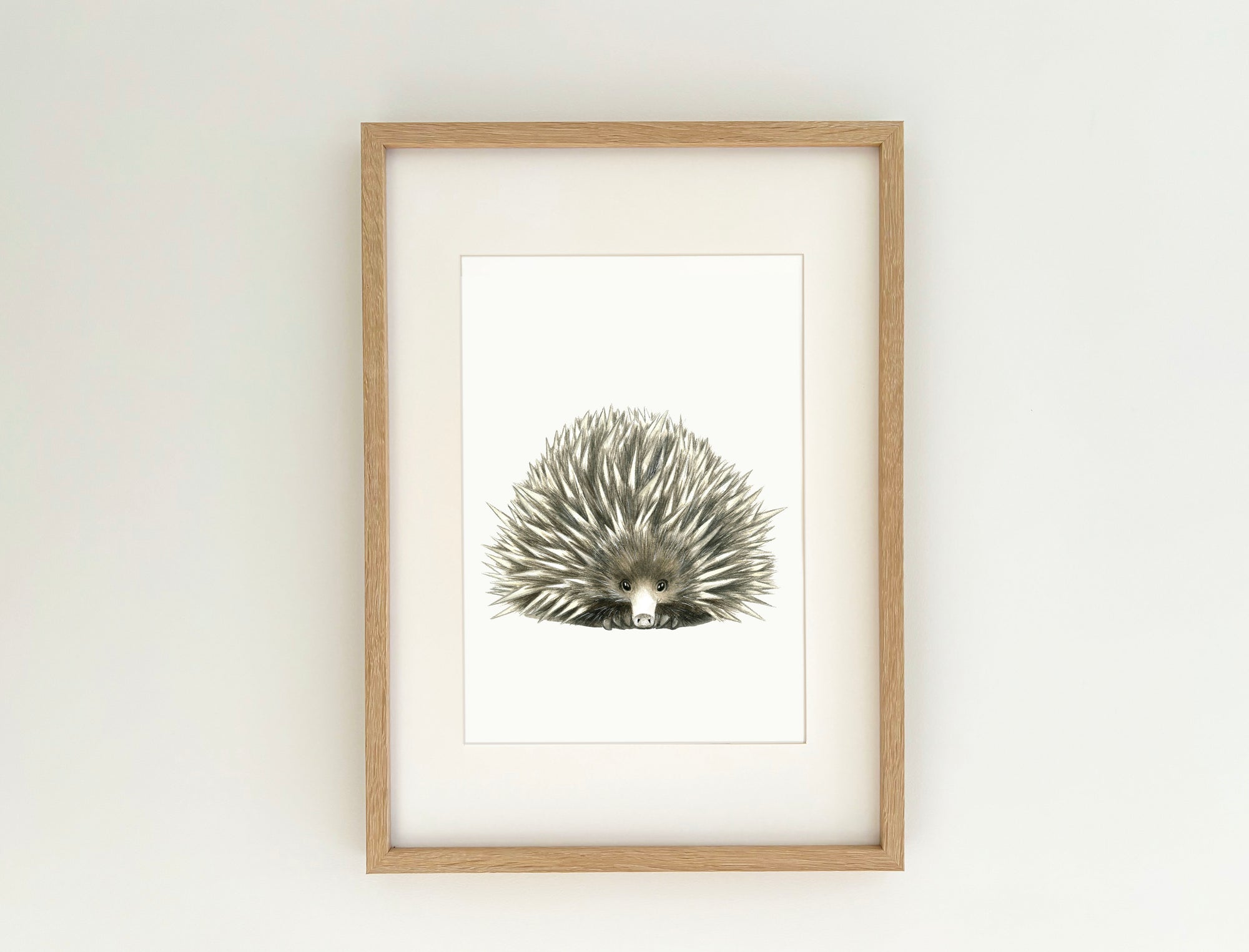 Edgar the Echidna