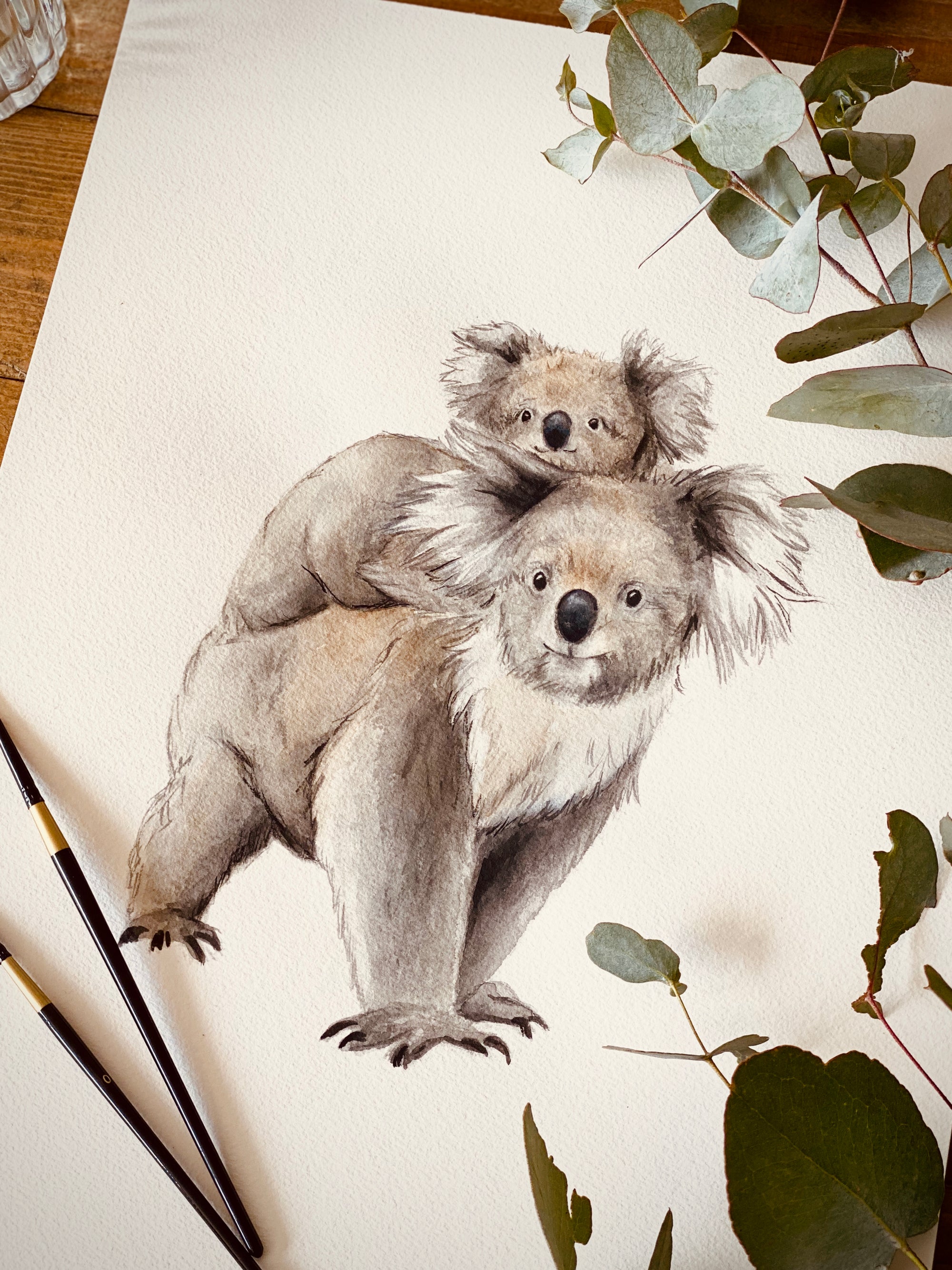 Kora the Koala with Kieran the Joey
