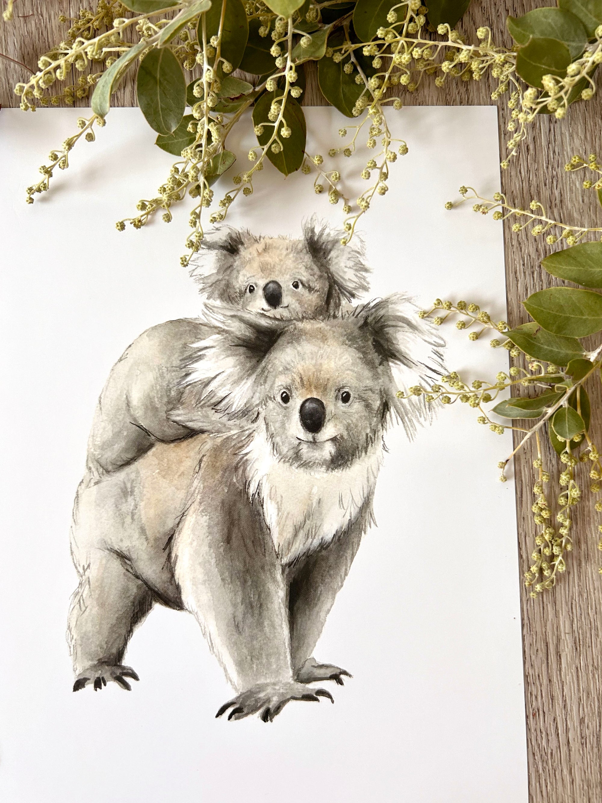 Kora the Koala with Kieran the Joey