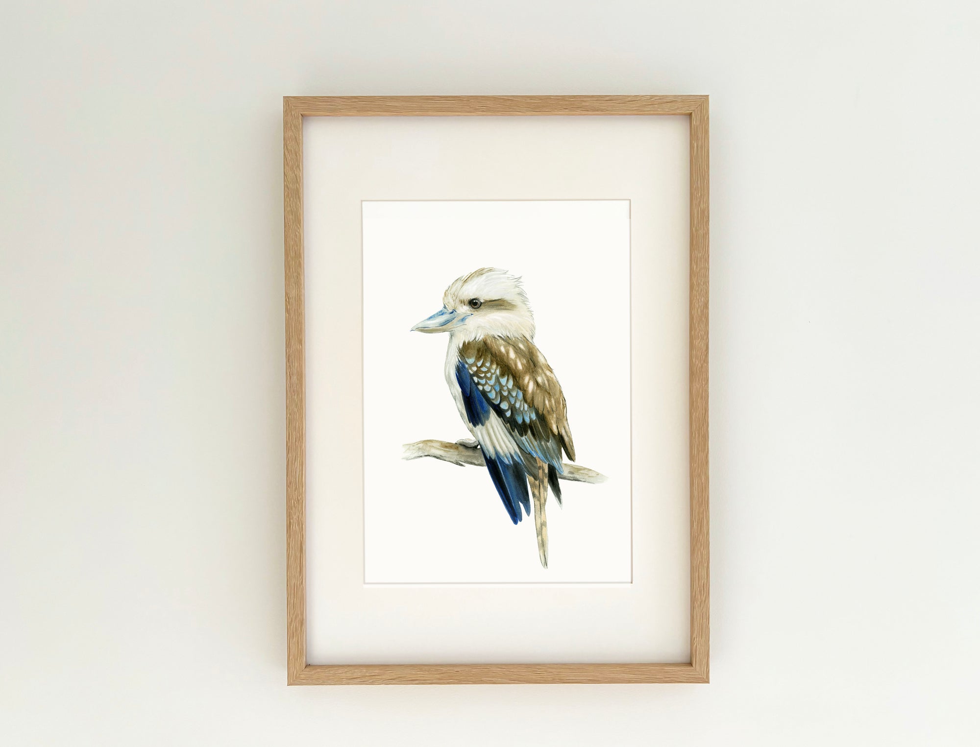 Kai the Laughing Kookaburra