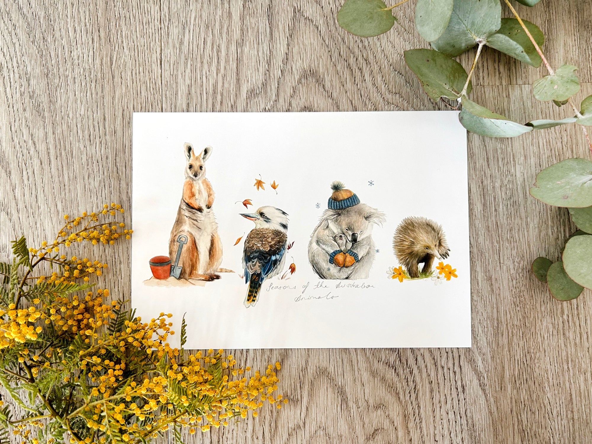Seasons of the Australian Animals