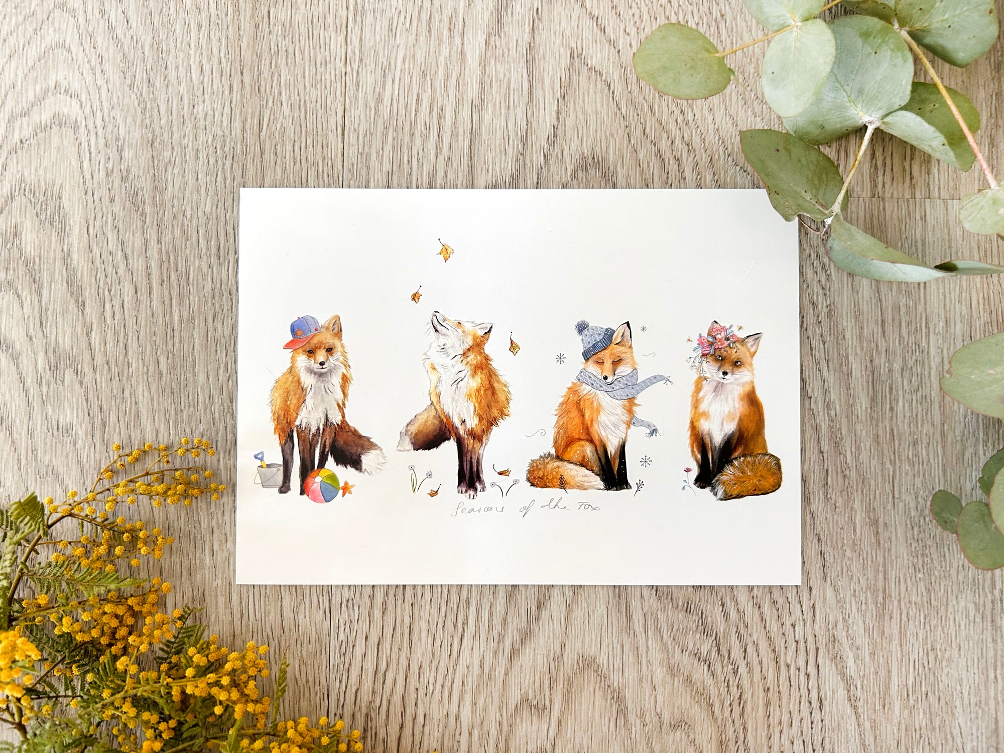 Seasons of the Fox