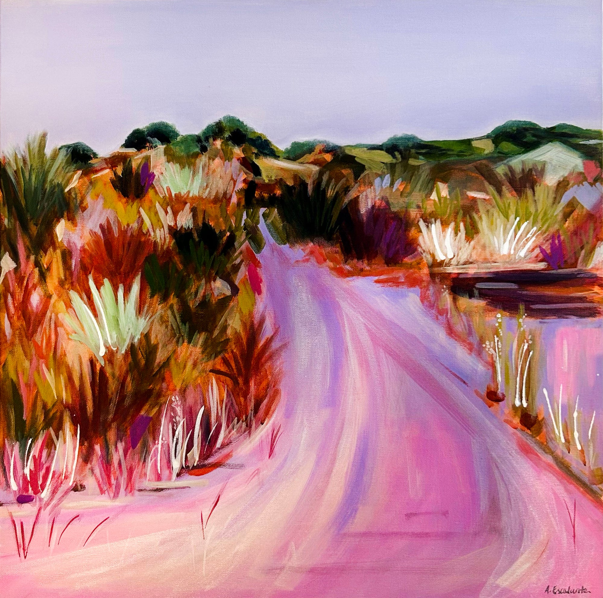 Road to Grassy Meadows