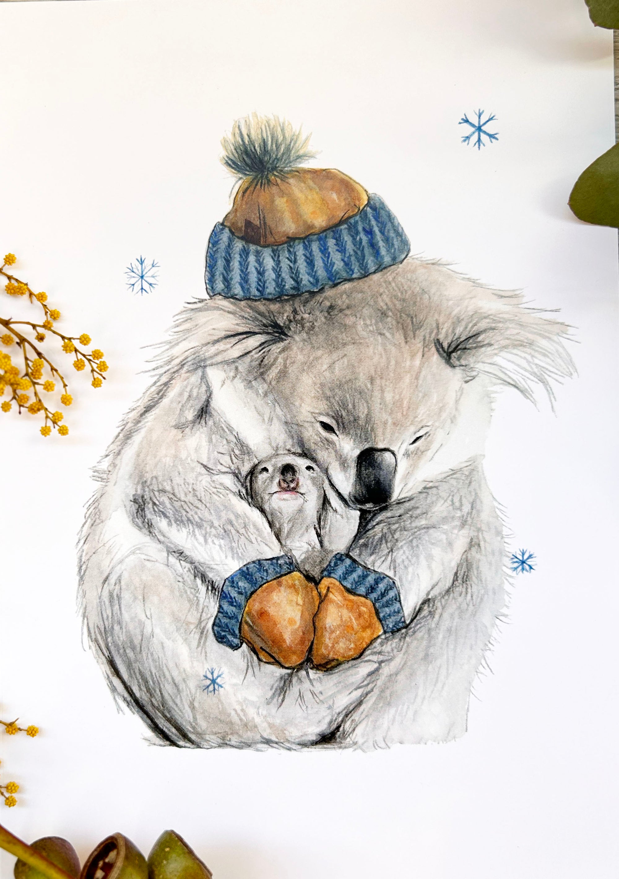 Winter Koala