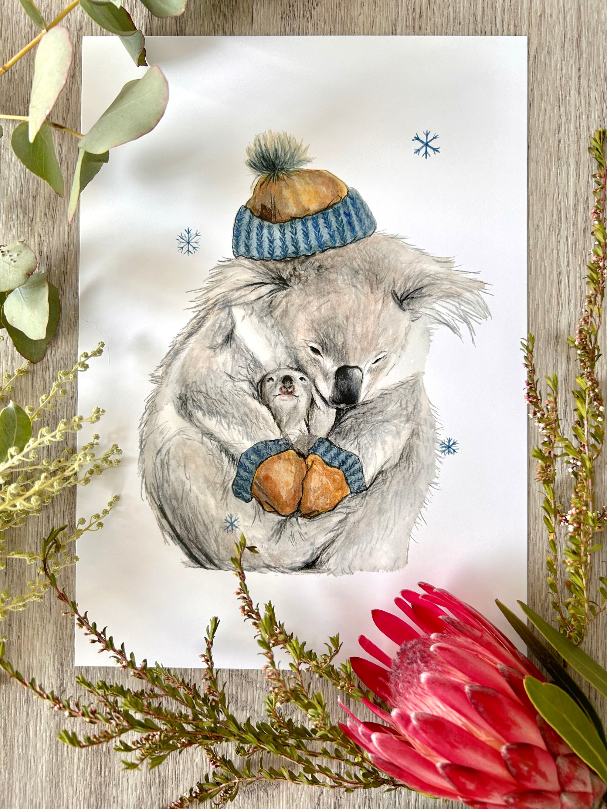 Winter Koala