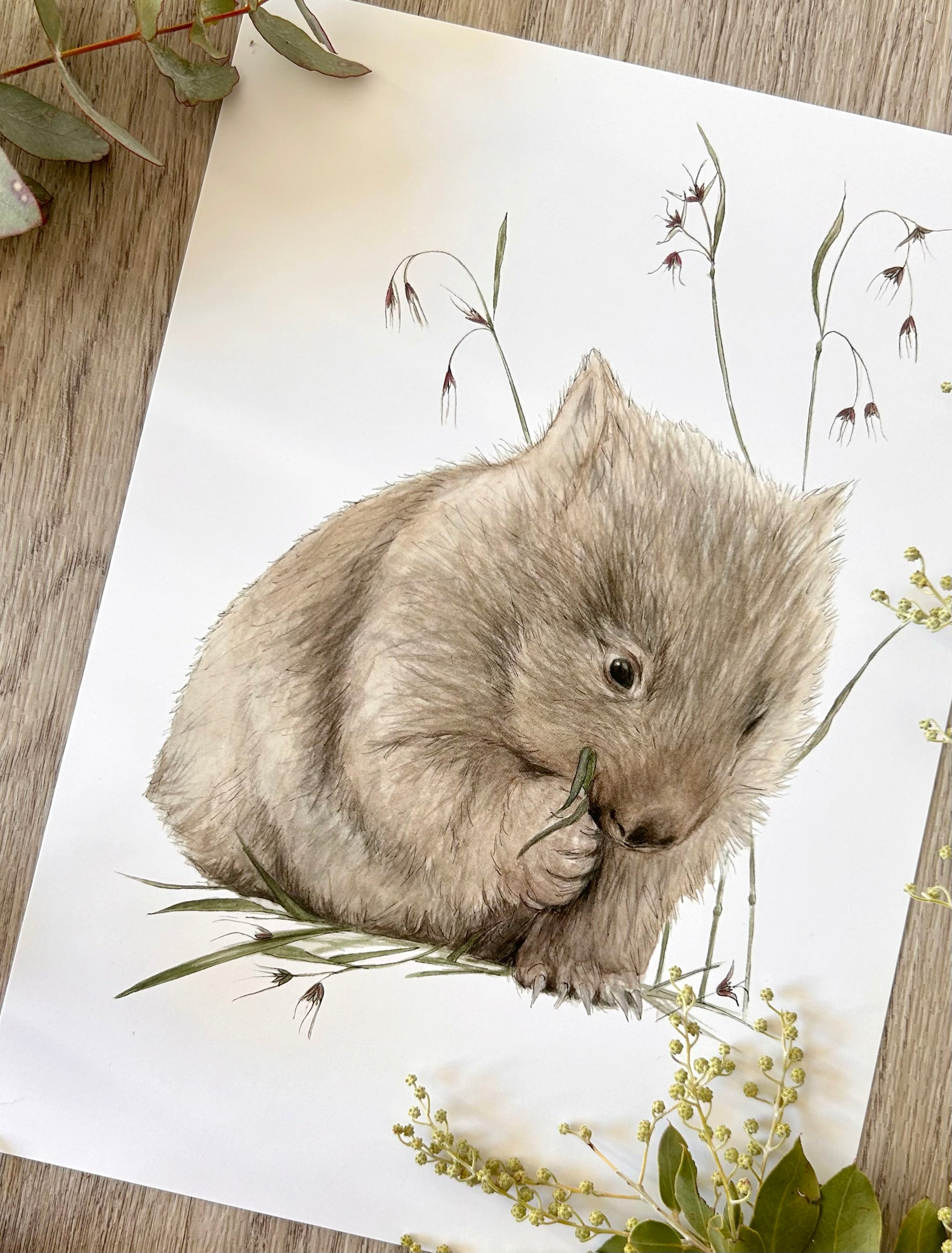 Wally the Wombat