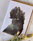 "Billy the Black Cockatoo" Greeting Card