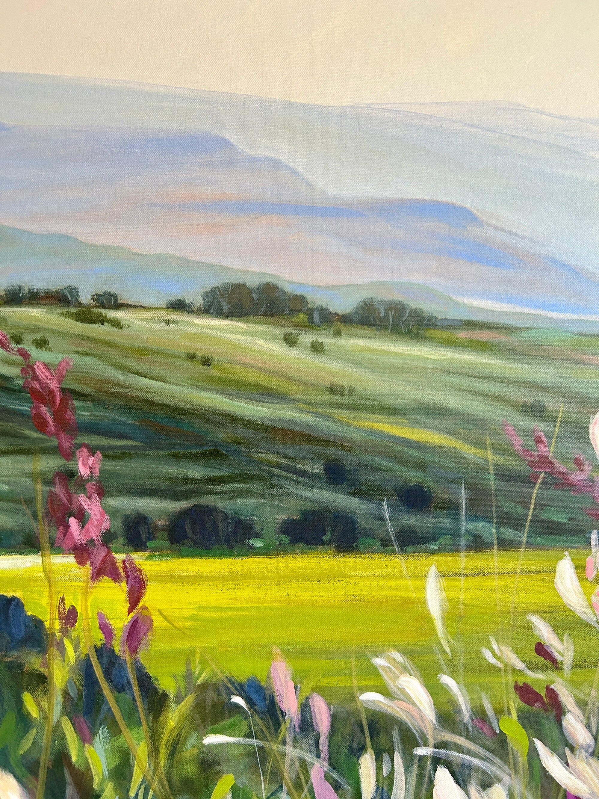 Fields of Quiet Light