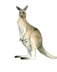 Kamala the Kangaroo with Skipper the Joey