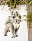 Kora the Koala with Kieran the Joey