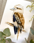 Kai the Laughing Kookaburra